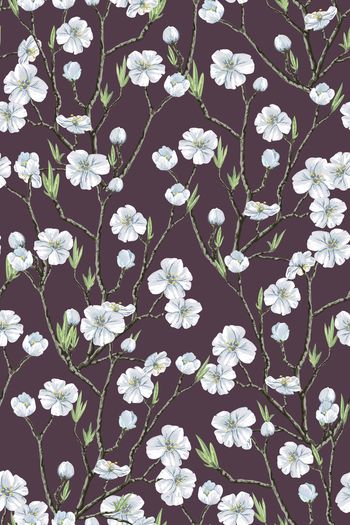 844313-2017050401-01