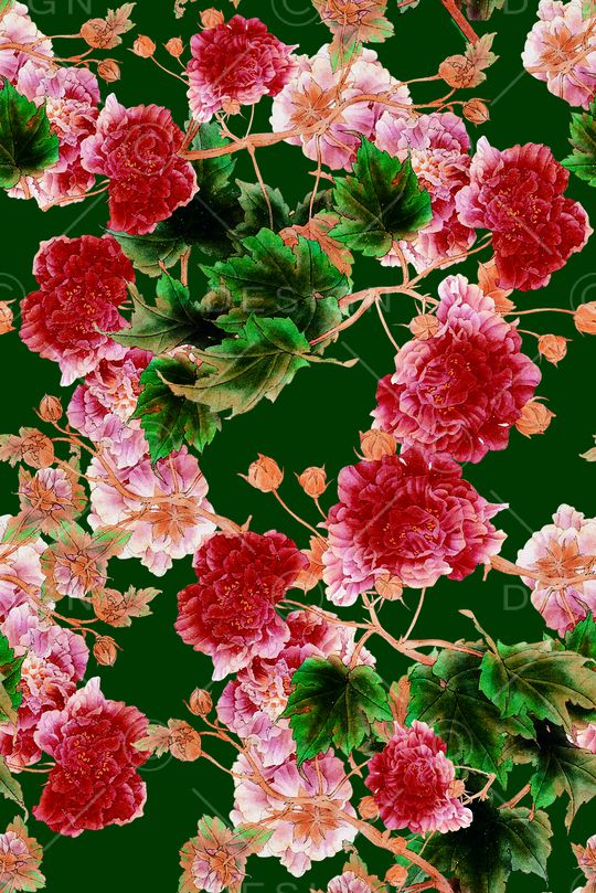 牡丹印花华亿平台图片