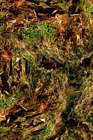 数码印花华亿平台图片