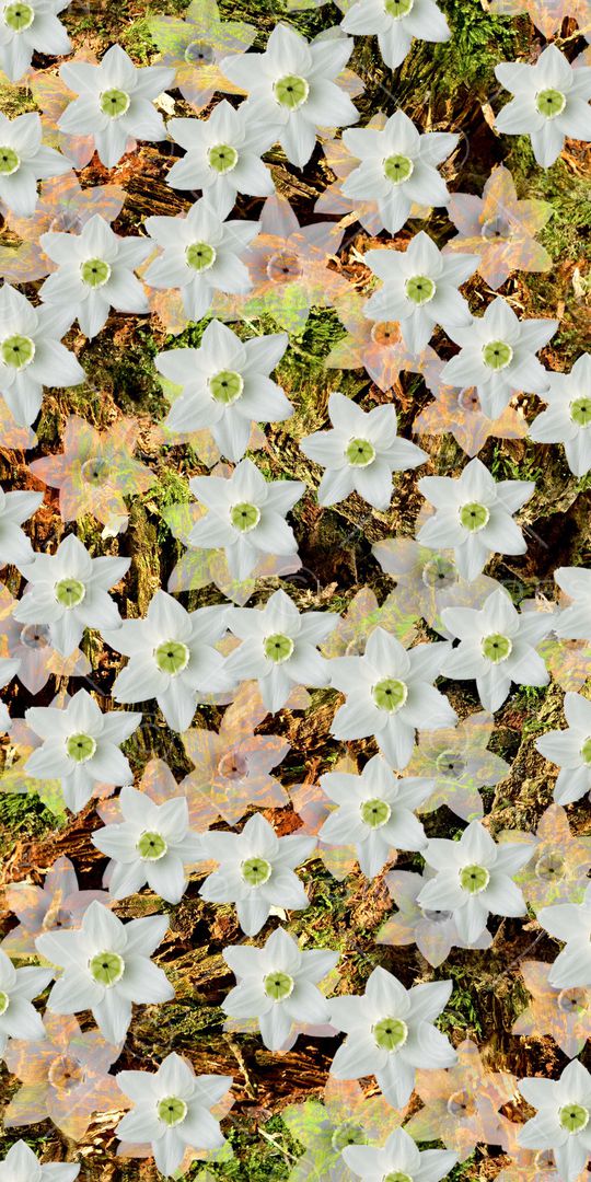 数码印花华亿平台图片