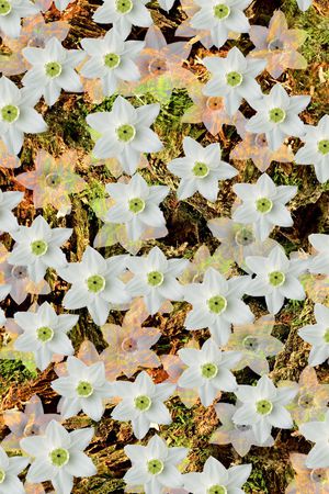 数码印花华亿平台图片