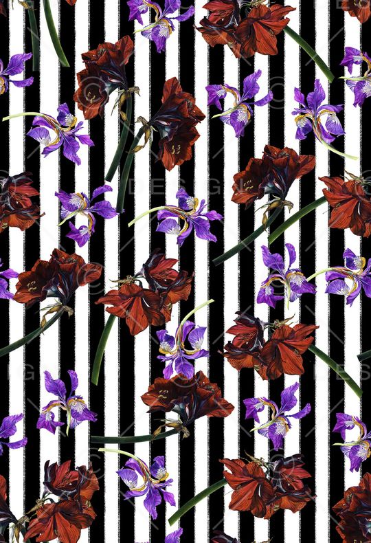 黑白条纹印花华亿平台图片