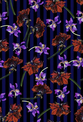 844428-20 复古手绘条纹紫色鸢尾花 百合