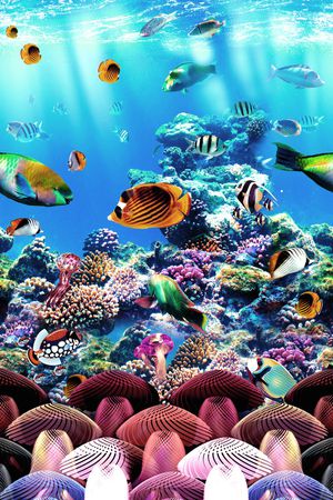 热带印花华亿平台图片