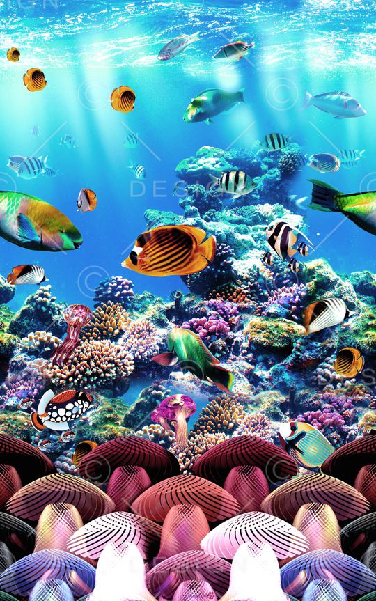 热带印花华亿平台图片