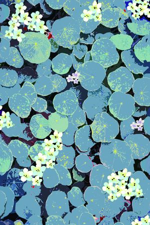 卡通印花华亿平台图片