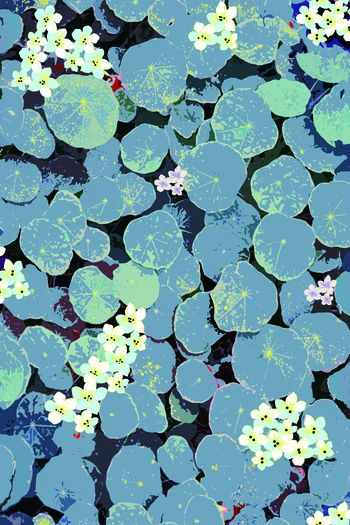 卡通印花华亿平台图片