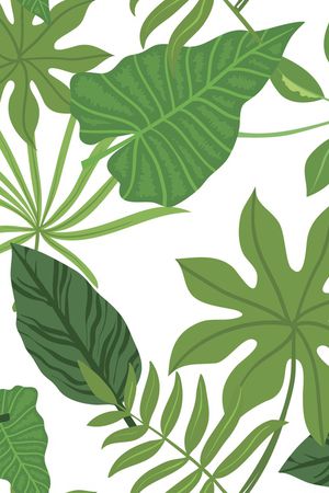 纪梵希givenchy印花华亿平台图片