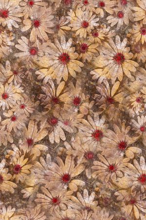 复古印花华亿平台图片