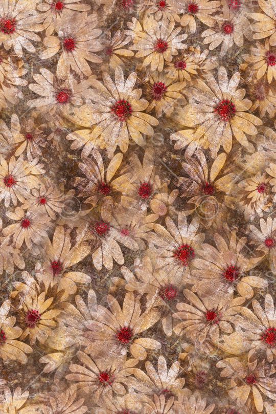 复古印花华亿平台图片