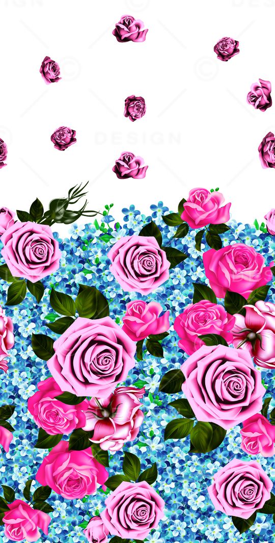 女装印花印花华亿平台图片