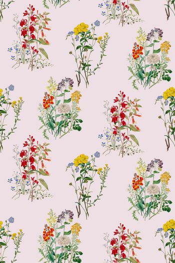 845938-春夏田园花卉植物