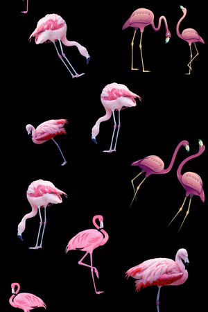 动物印花华亿平台图片