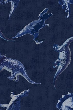 恐龙印花华亿平台图片