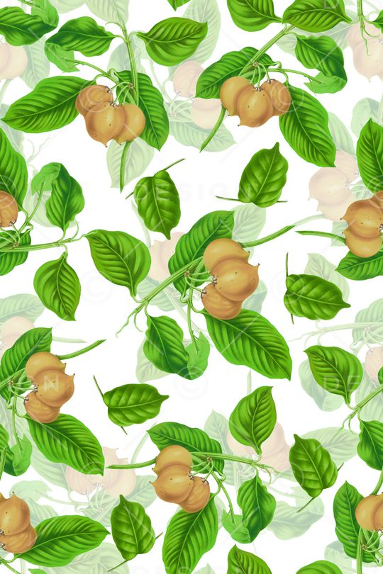 花果印花印花华亿平台图片