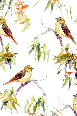 动物印花华亿平台图片