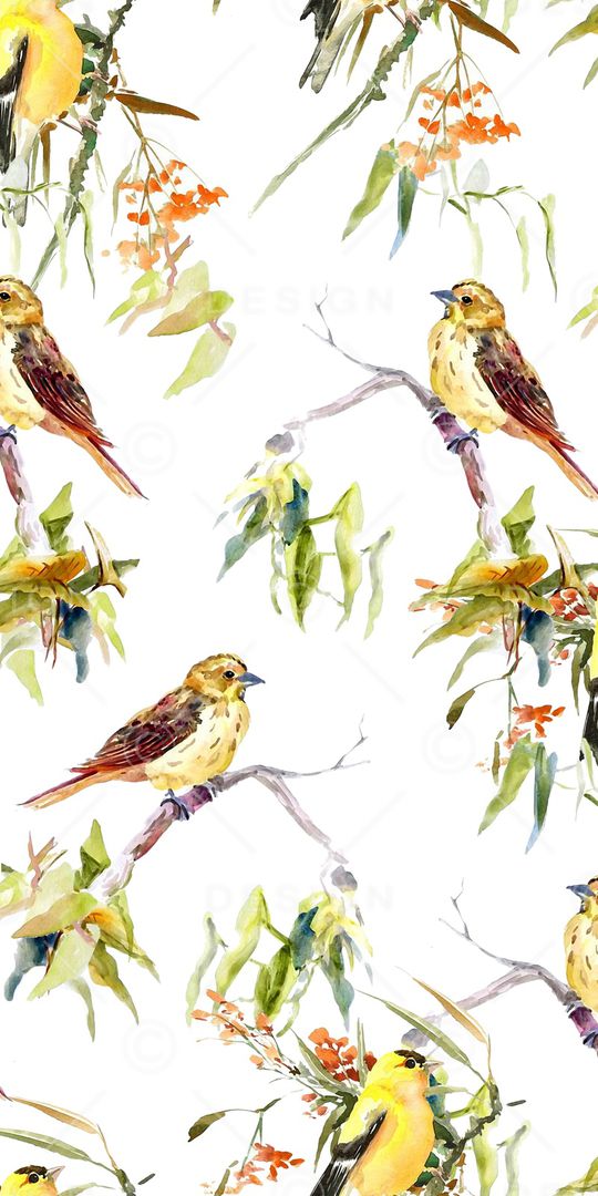 动物印花华亿平台图片