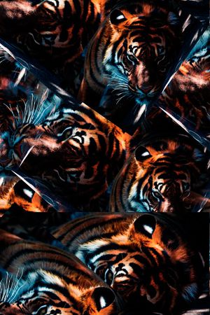 潮流印花华亿平台图片