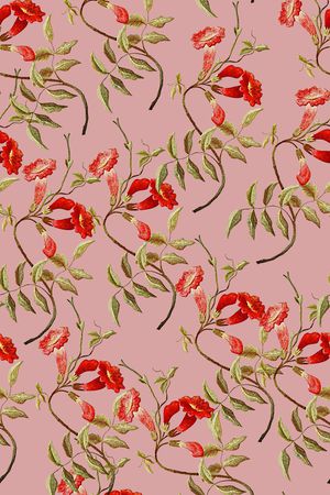 春夏清爽雪纺真丝棉丝巾布料泳装渐变印花印花华亿平台图片