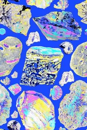 女装印花华亿平台图片