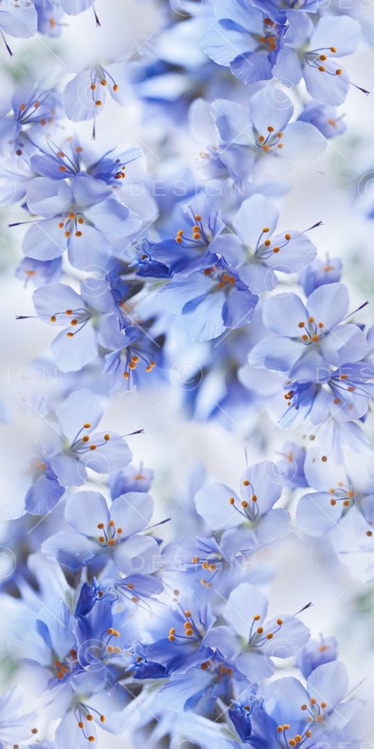 乱花印花华亿平台图片