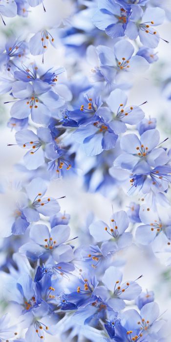 乱花印花华亿平台图片