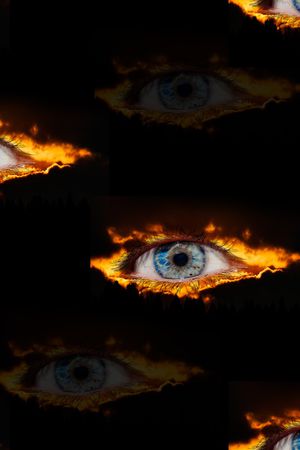 古驰gucci印花华亿平台图片