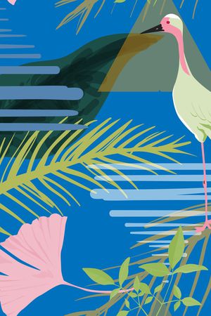 热带印花华亿平台图片