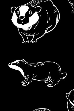 童装印花华亿平台图片