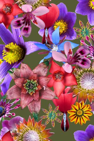 花朵印花华亿平台图片