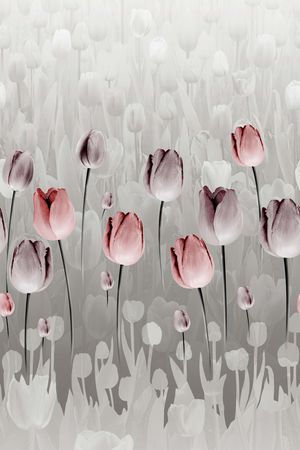 郁金香印花华亿平台图片