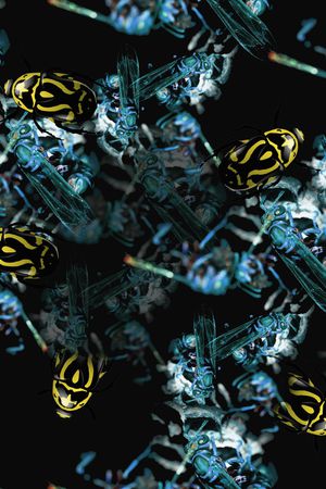 古驰gucci印花华亿平台图片