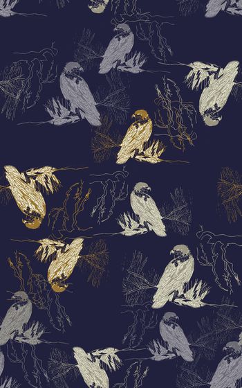 848874-170509-shxt-2-00