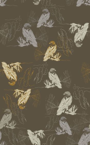 848875-170509-shxt-2-2