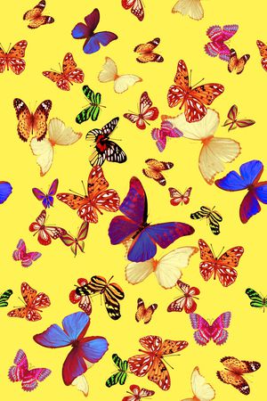 昆虫印花华亿平台图片