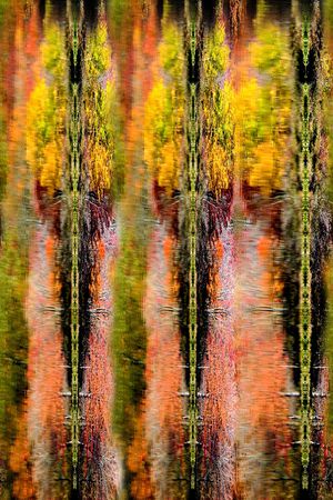 树皮印花华亿平台图片