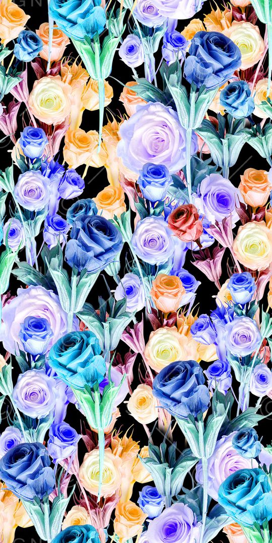 玫瑰印花华亿平台图片