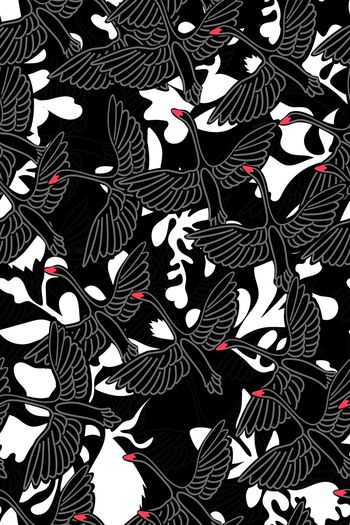 849466-黑天鹅白叶子