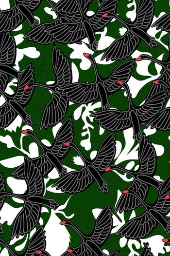 849484-黑天鹅白叶子