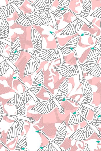 849486-黑天鹅白叶子粉