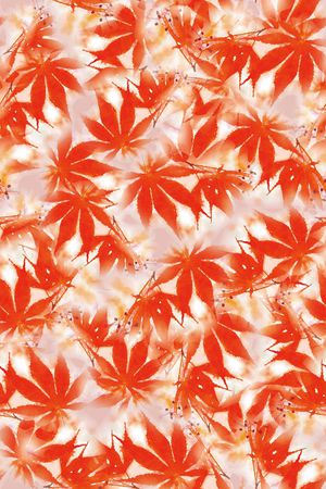 红叶印花华亿平台图片