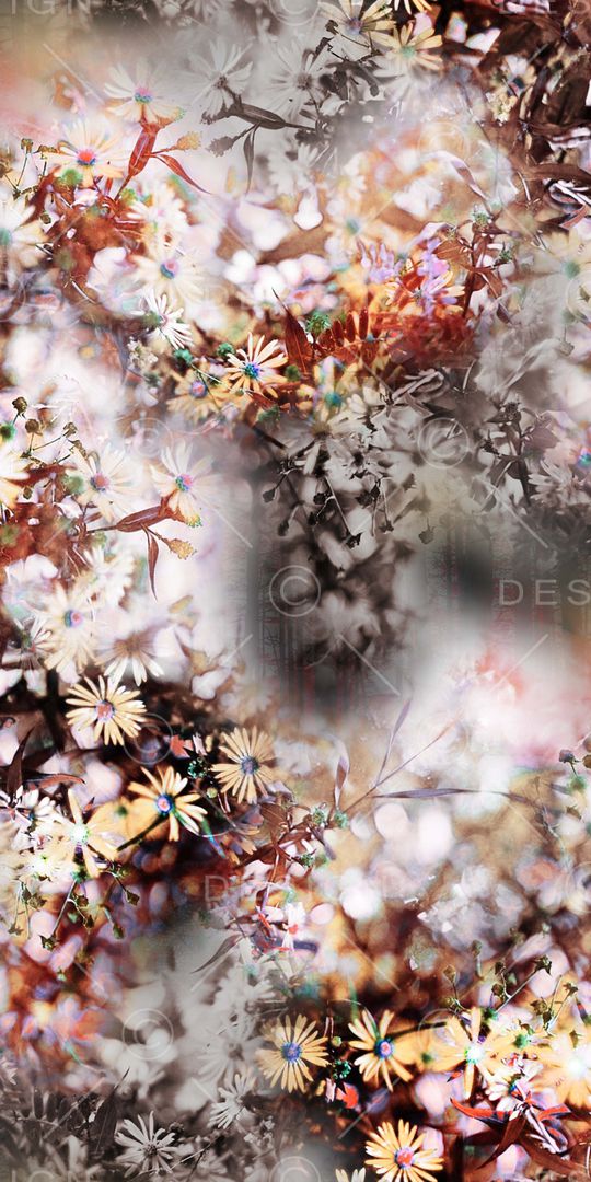 乱花印花华亿平台图片