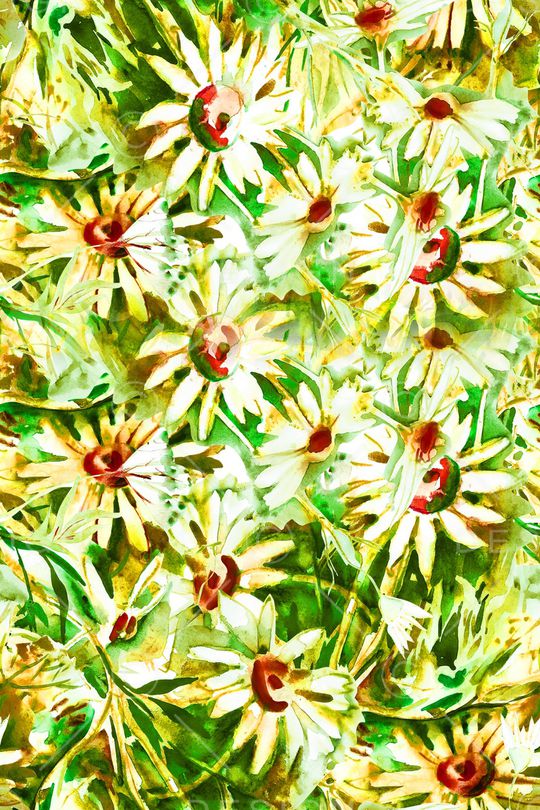 水彩印花华亿平台图片