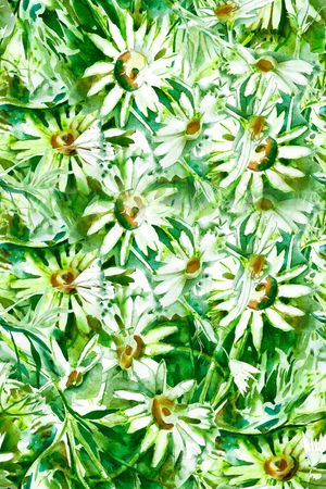 水彩印花华亿平台图片