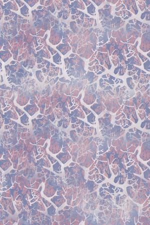 渐变印花华亿平台图片