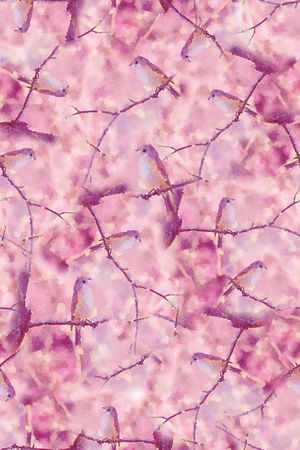 鸟印花华亿平台图片