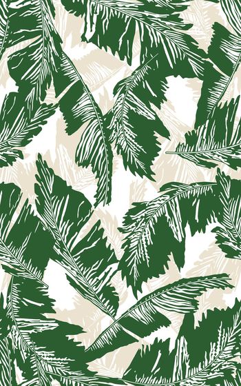 849938-手绘芭蕉叶057916