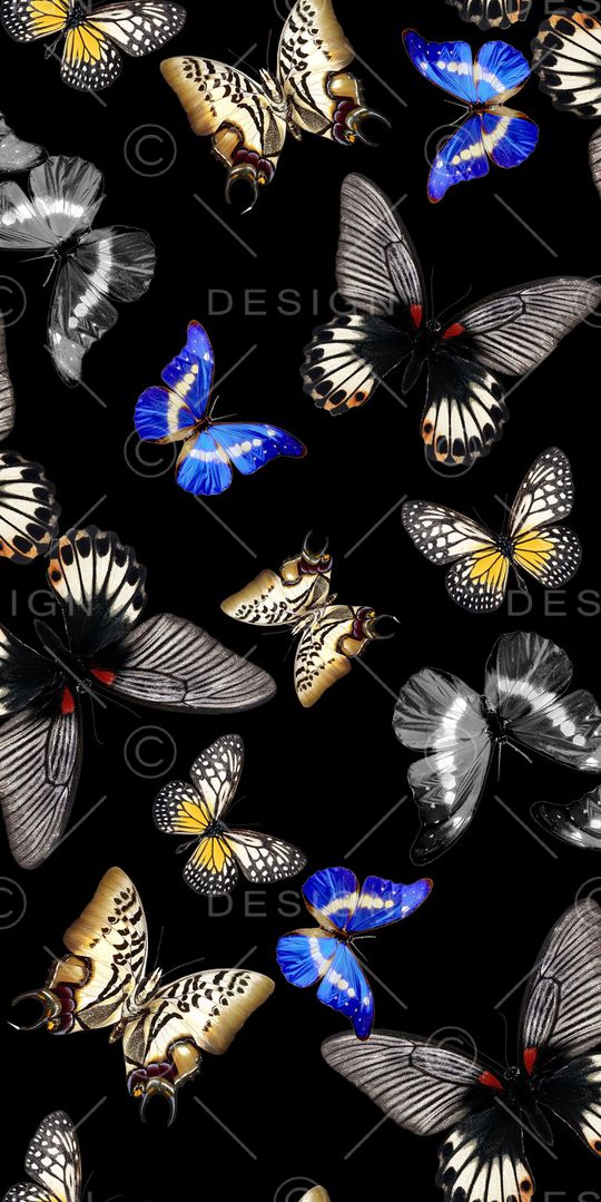 蝴蝶印花华亿平台图片