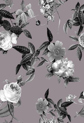 850530-写实花卉牡丹月季-灰色