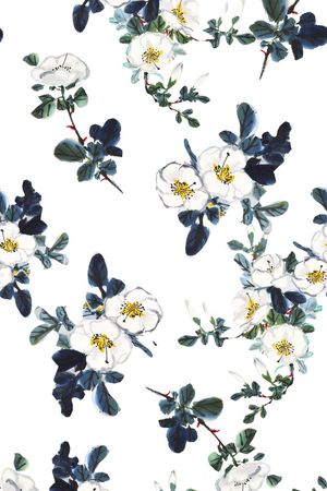 国画花卉、花鸟、水墨画、中国风印花华亿平台图片